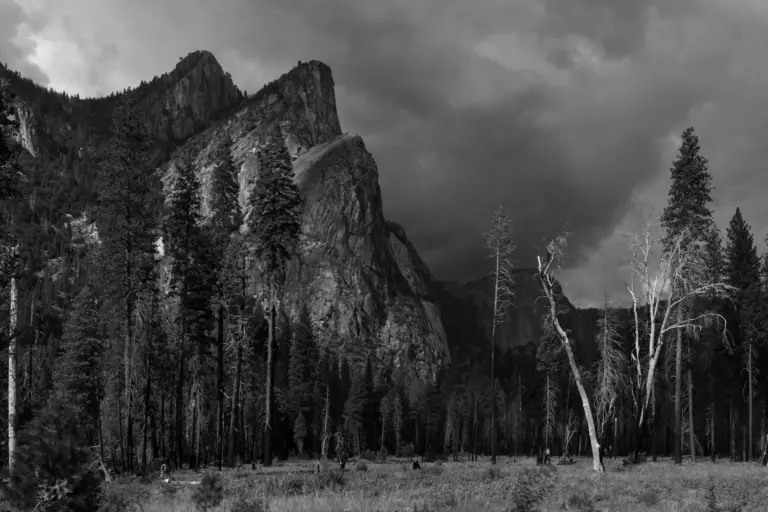 Dramatic mountain landscape with storm clouds and trees